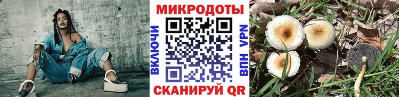 купить закладку  Руза  Галлюциногенные грибы Psilocybine cubensis 